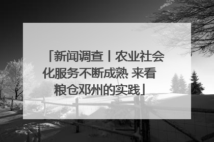 新闻调查丨农业社会化服务不断成熟 来看粮仓邓州的实践