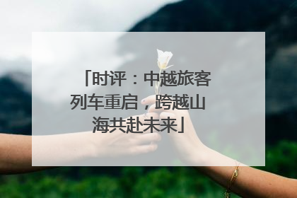 时评：中越旅客列车重启，跨越山海共赴未来