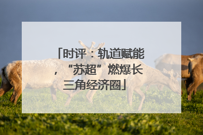 时评：轨道赋能，“苏超”燃爆长三角经济圈