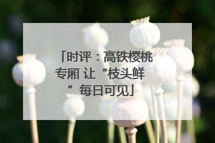 时评：高铁樱桃专厢 让“枝头鲜”每日可见
