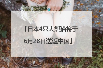 日本4只大熊猫将于6月28日送返中国