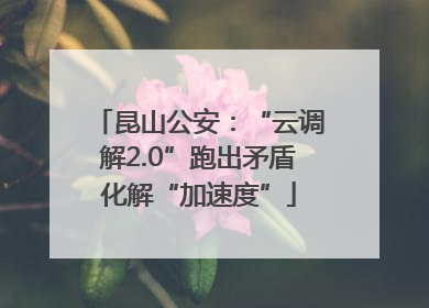 昆山公安：“云调解2.0”跑出矛盾化解“加速度”