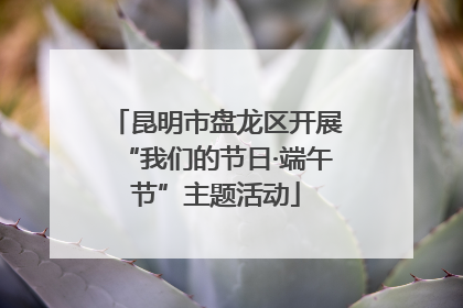 昆明市盘龙区开展“我们的节日·端午节”主题活动
