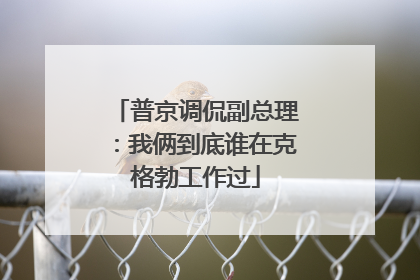 普京调侃副总理：我俩到底谁在克格勃工作过