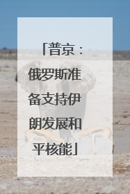 普京：俄罗斯准备支持伊朗发展和平核能