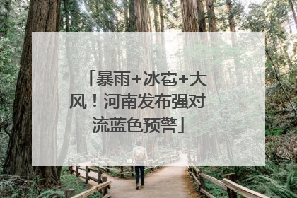 暴雨+冰雹+大风！河南发布强对流蓝色预警