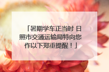 暑期学车正当时 日照市交通运输局特向您作以下郑重提醒！