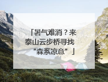 暑气难消？来泰山云步桥寻找“森系凉意”