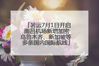 暑运7月1日开启 南昌机场新增加密乌鲁木齐、新加坡等多条国内国际航线