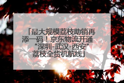 最大规模荔枝助销再添一码！京东物流开通“深圳-武汉-西安” 荔枝全货机航线