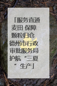 服务直通麦田 保障颗粒归仓 德州市行政审批服务局护航“三夏”生产