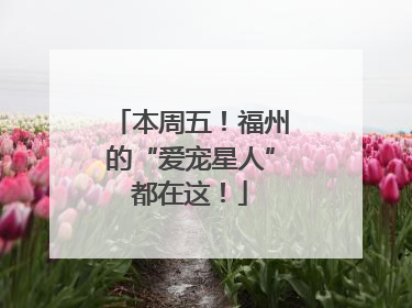 本周五！福州的“爱宠星人”都在这！