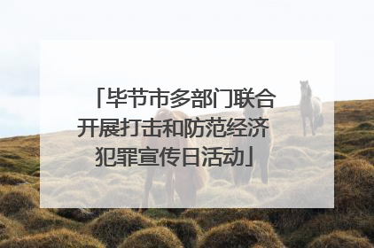 毕节市多部门联合开展打击和防范经济犯罪宣传日活动