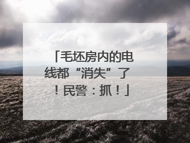 毛坯房内的电线都“消失”了！民警：抓！