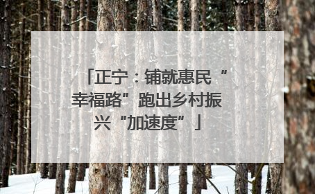 正宁：铺就惠民“幸福路”跑出乡村振兴“加速度”