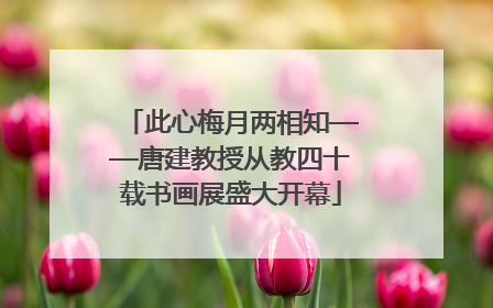 此心梅月两相知——唐建教授从教四十载书画展盛大开幕