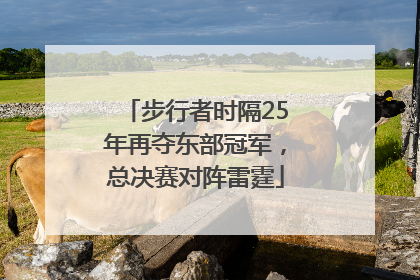 步行者时隔25年再夺东部冠军，总决赛对阵雷霆