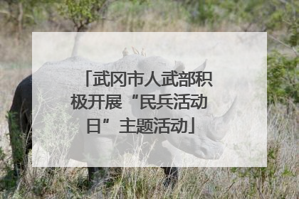 武冈市人武部积极开展“民兵活动日”主题活动