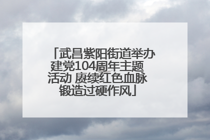 武昌紫阳街道举办建党104周年主题活动 赓续红色血脉锻造过硬作风
