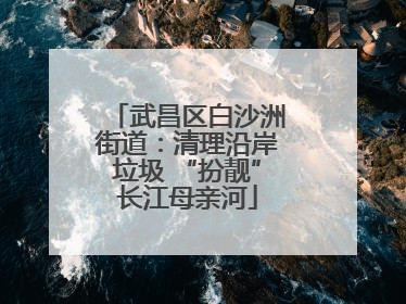 武昌区白沙洲街道：清理沿岸垃圾 “扮靓”长江母亲河