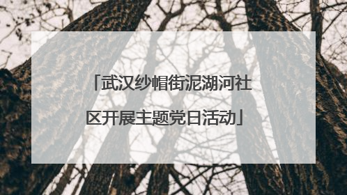 武汉纱帽街泥湖河社区开展主题党日活动
