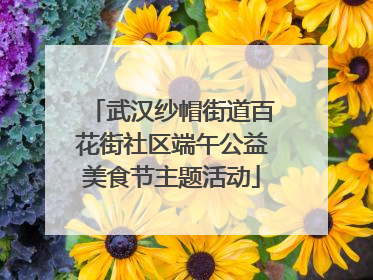 武汉纱帽街道百花街社区端午公益美食节主题活动