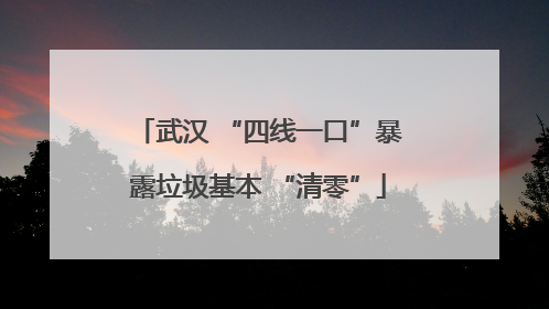 武汉 “四线一口”暴露垃圾基本 “清零”