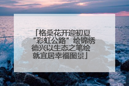格桑花开迎初夏 “彩虹公路”绘锦绣 德兴以生态之笔绘就宜居幸福图景