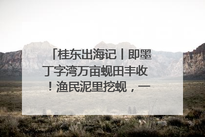 桂东出海记丨即墨丁字湾万亩蚬田丰收！渔民泥里挖蚬，一天上岸过千斤