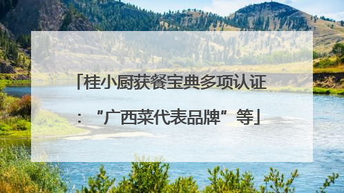 桂小厨获餐宝典多项认证：“广西菜代表品牌”等