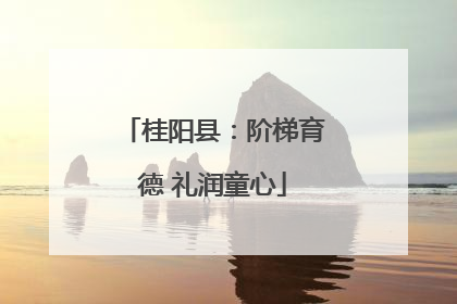 桂阳县：阶梯育德 礼润童心