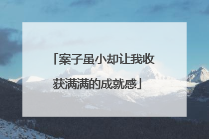 案子虽小却让我收获满满的成就感