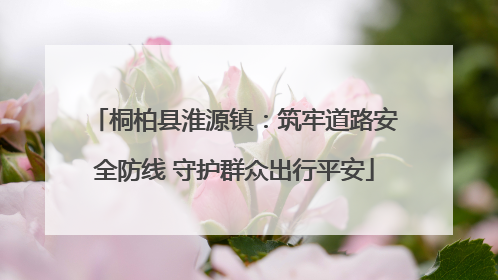 桐柏县淮源镇：筑牢道路安全防线 守护群众出行平安