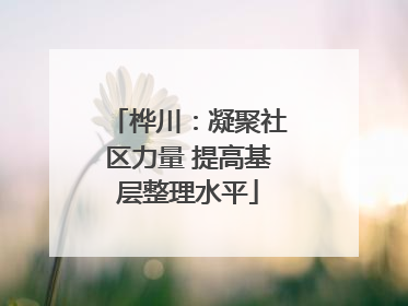 桦川：凝聚社区力量 提高基层整理水平