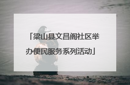 梁山县文昌阁社区举办便民服务系列活动