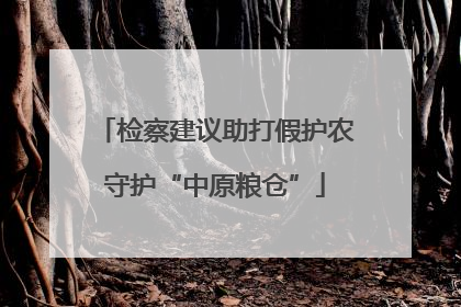 检察建议助打假护农守护“中原粮仓”