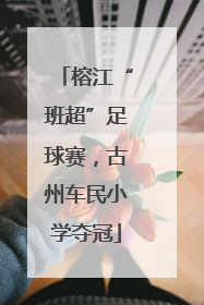 榕江“班超”足球赛，古州车民小学夺冠