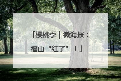 樱桃季｜微海报：福山“红了”！
