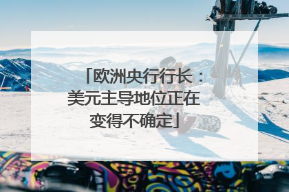 欧洲央行行长：美元主导地位正在变得不确定