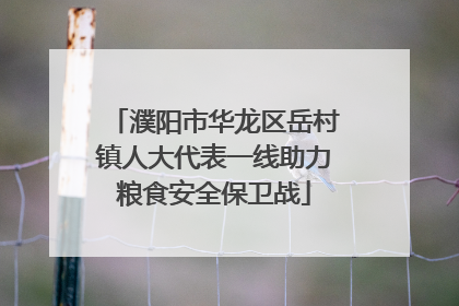 濮阳市华龙区岳村镇人大代表一线助力粮食安全保卫战
