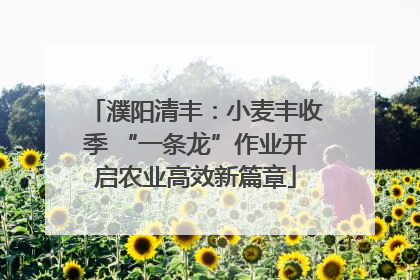 濮阳清丰：小麦丰收季 “一条龙”作业开启农业高效新篇章