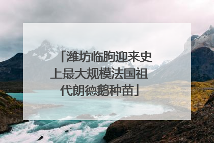 潍坊临朐迎来史上最大规模法国祖代朗德鹅种苗