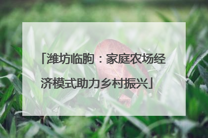 潍坊临朐：家庭农场经济模式助力乡村振兴
