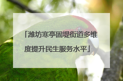 潍坊寒亭固堤街道多维度提升民生服务水平