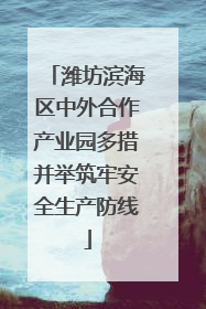 潍坊滨海区中外合作产业园多措并举筑牢安全生产防线
