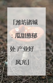 潍坊诸城：瓜甜葱郁处 产业好风光