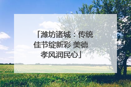 潍坊诸城：传统佳节绽新彩 美德孝风润民心