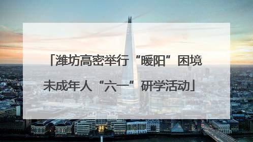 潍坊高密举行“暖阳”困境未成年人“六一”研学活动