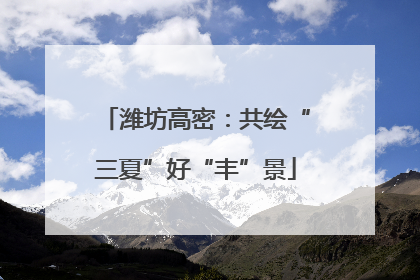 潍坊高密：共绘“三夏”好“丰”景