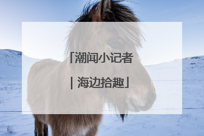 潮闻小记者｜海边拾趣